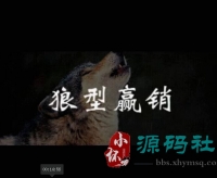 【卞维林】狼型营销全六集视频