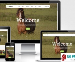 (Ӧֻ)ҵӢվpbootcmsģ ƥֳվģ