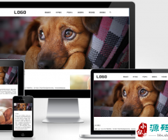 (Ӧֻ)èʳվpbootcmsģ ʳվԴ